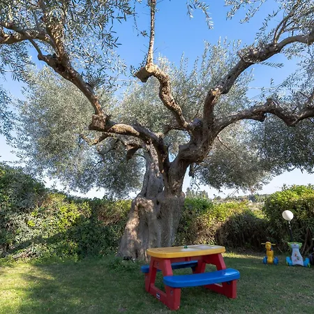 Holiday home Ciumara East